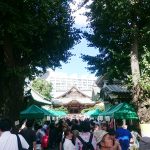 Thumbnail of post image 047