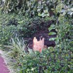 Thumbnail of post image 080