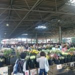 Thumbnail of post image 034