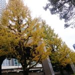 Thumbnail of post image 173