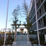 Thumbnail of post image 112