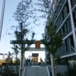 Thumbnail of post image 155