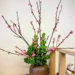 Thumbnail of post image 165