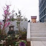 Thumbnail of post image 064