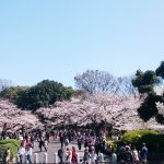 Thumbnail of post image 195