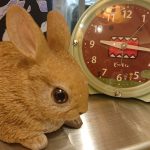 Thumbnail of post image 164