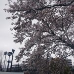 Thumbnail of post image 196