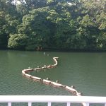 Thumbnail of post image 142