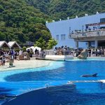 Thumbnail of post image 052